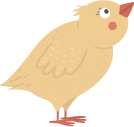 chick2