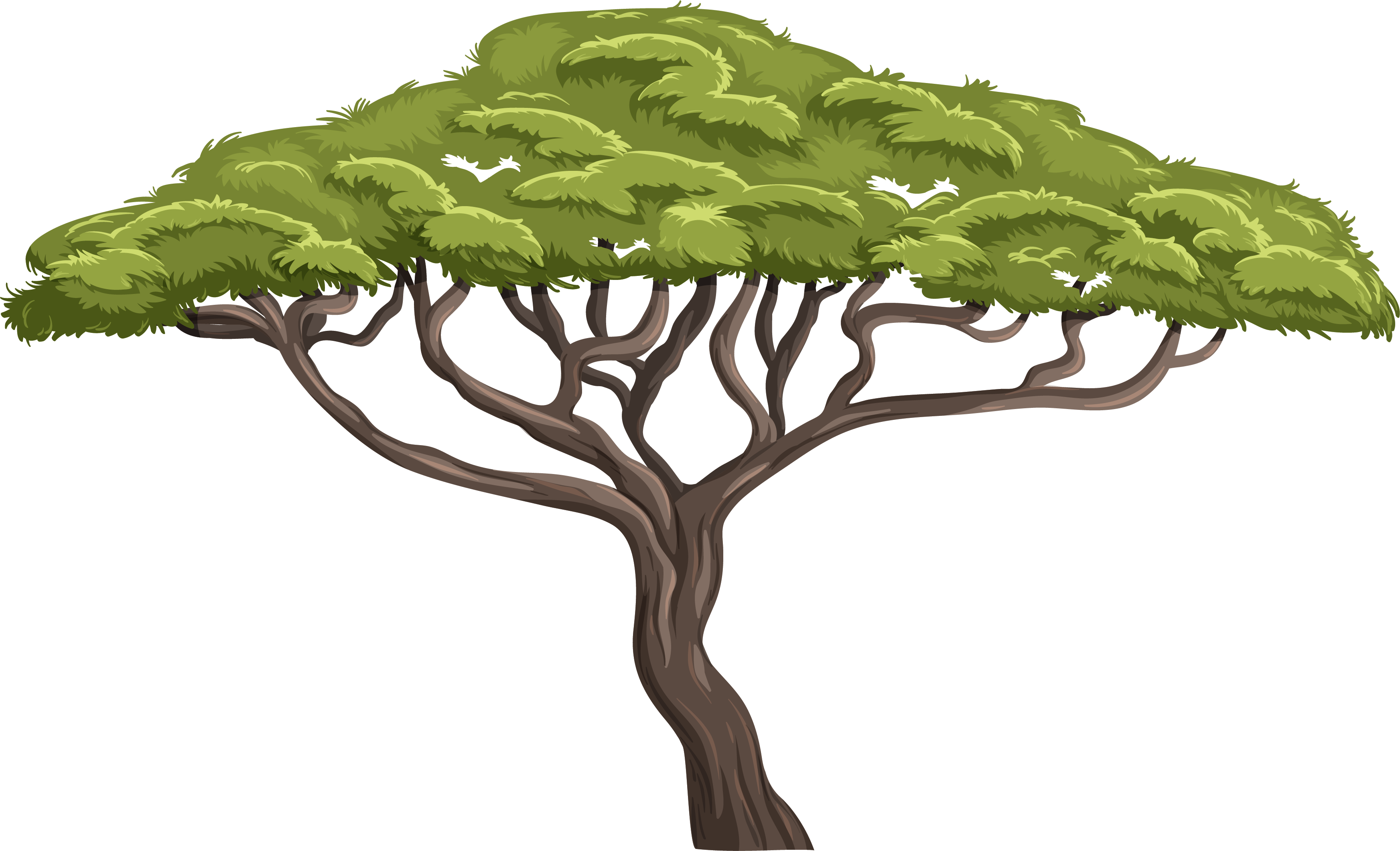 tree